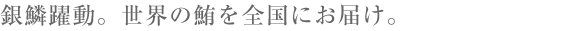銀鱗躍動。世界の鮪を全国にお届け。